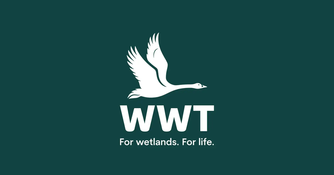 野禽与湿地基金会（WWT）启用新LOGO——国内知名