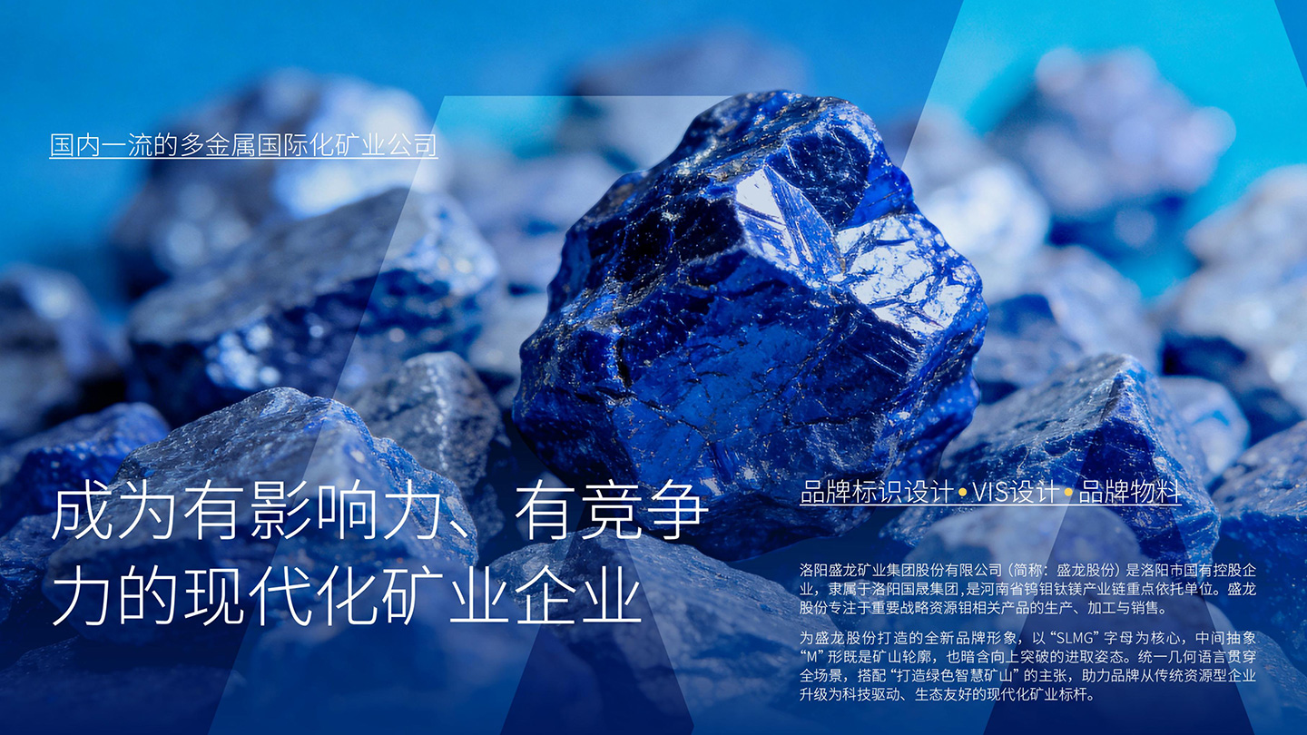 盛龙_001.jpg